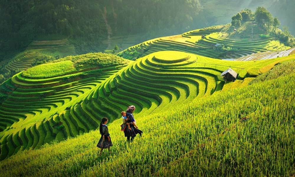 ĐÀ NẴNG- HÀ NỘI – SAPA – HẠ LONG – NINH BÌNH