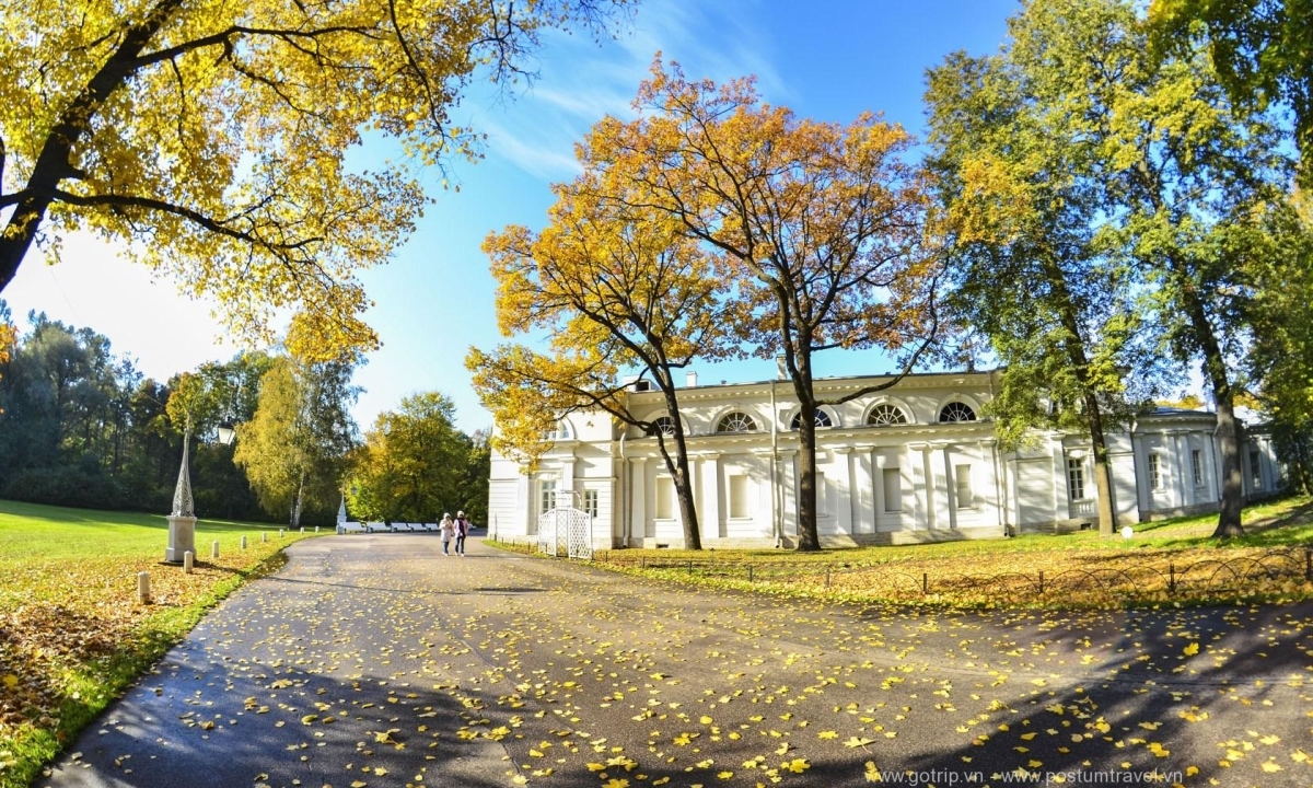 KHÁM PHÁ MÙA THU VÀNG NƯỚC NGA