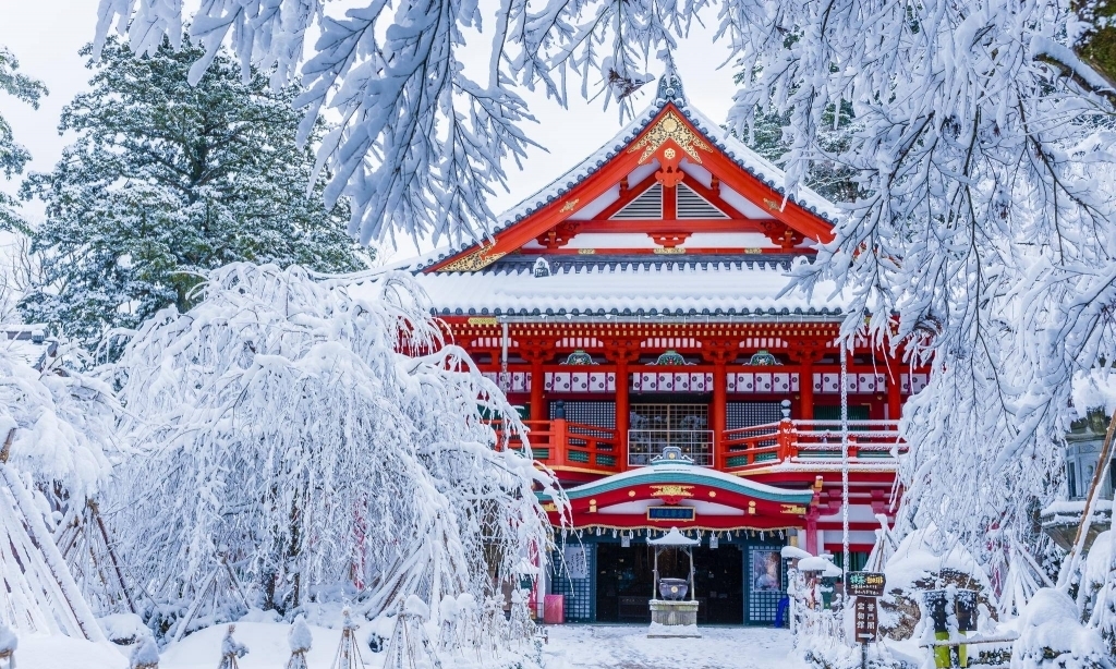 SEOUL – ĐẢO NAMI - CÔNG VIÊN EVERLAND - HERO PAINT