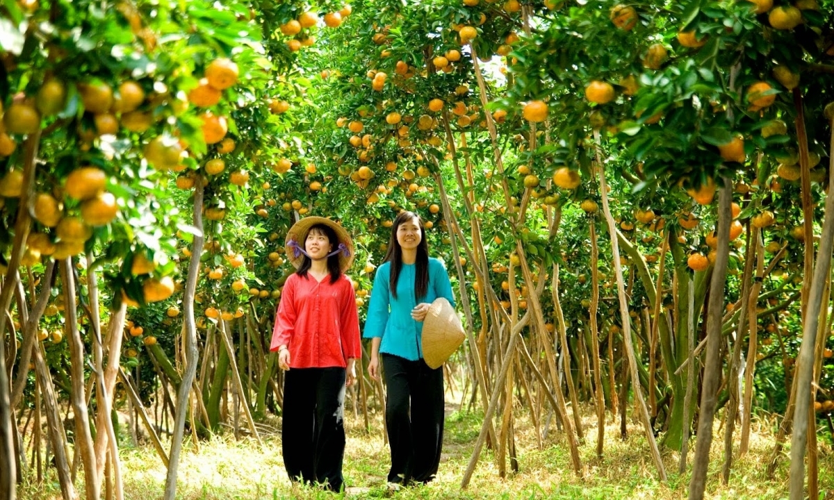 SÀI GÒN – MỸ THO – CẦN THƠ – SÓC TRĂNG  BẠC LIÊU –